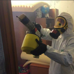 Уничтожение клопов в квартире. Октябрьское Поле